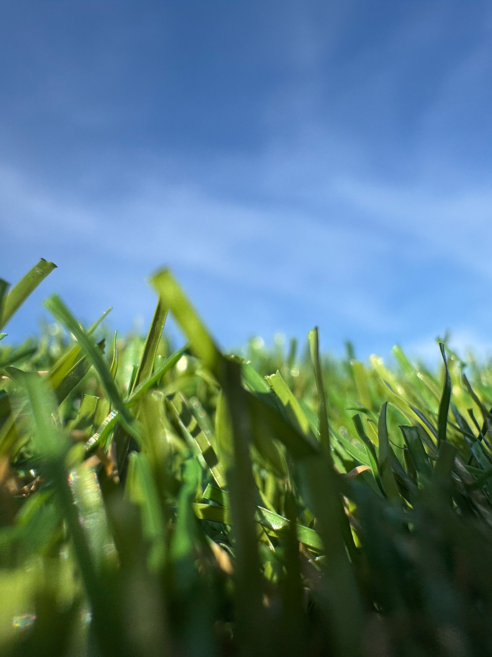 Kunstgras detail